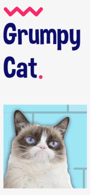 You Can Collect Emojis Or Have The Highest Ranking - Official Grumpy Cat Quotes Hard Back Case