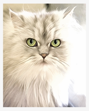 Cat Portrait Painting - Cat Illustration Fur