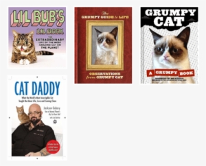 Cat Books I Want To Read - Cat Daddy By Jackson Galaxy