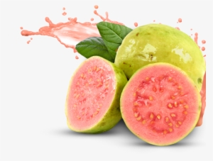 Improves Your Immunity - Guava Fruit Png