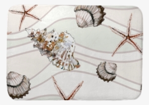 Seamless Marine Pattern With Shells And Starfish On - Sfondo Marino Bianco