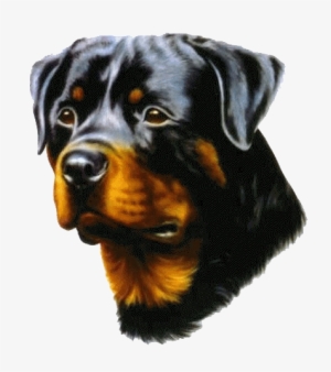 Please Complete The Adoption Application In Full - Rottweiler