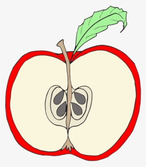 Parts Of An Apple Clipart