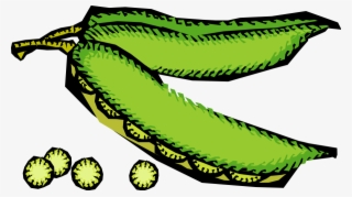 How To Set Use Vegetables 48 Icon Png