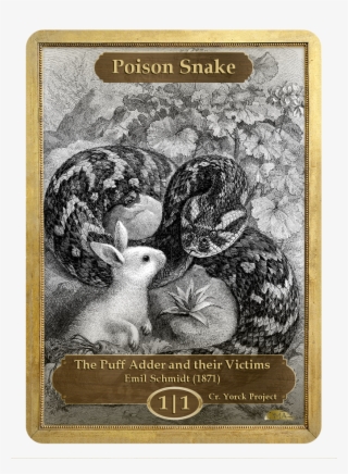 Poison Snake Token By Emil Schmidt - Animaux Noir & Blanc Set De Cartes De Vœux Cupcake?