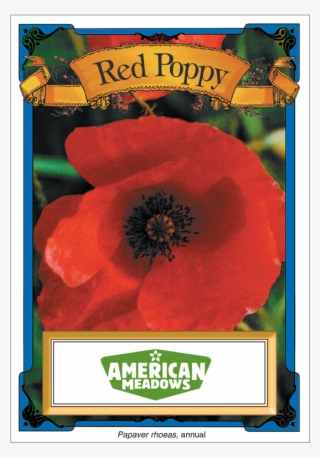 American Meadows