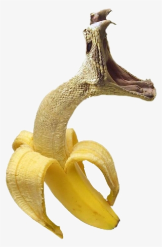 Cool Photos To Photoshop