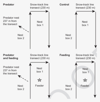 Experimental Set-up Used In The Study