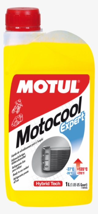 Motocool Expert