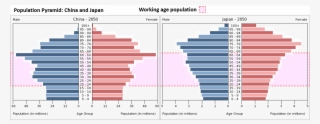Japan Will Have Very Large Cohorts In The Over 65 Category - China Female And Male Population