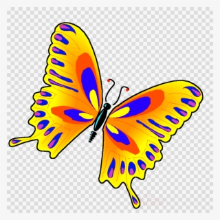 Jewish Butterfly Clipart Butterfly Borboleta Insect - Butterfly
