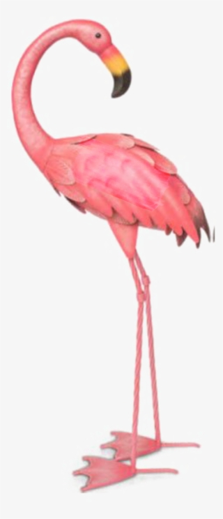 Ftestickers Watercolor Illustration Flamingo Pinkflamin - Flamant Rose En Métal