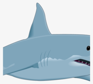 Free Shark Clipart Shark Clipart Shark Fish Clipart - Great White Shark Clip Art