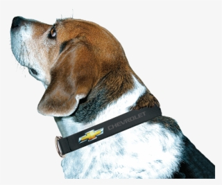 Chevy Bowtie Dog Collar - Chevy Dog