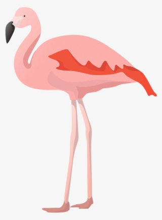 Flat Flamingo Vector - Vector Graphics