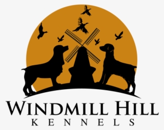 Windmillhillkennelsfinal - Small Business