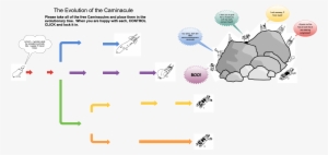 Untitled The Evolution Of The Caminacule Please Take - Diagram