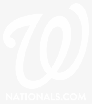 Build The Washington Nationals Youth Baseball Academy - Emblem