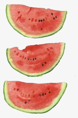 Watercolor Watermelon Png - Watermelon Watercolor Png