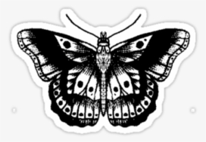 Harry Styles Butterfly Tattoo Png - Tatuaje Harry Styles Mariposa