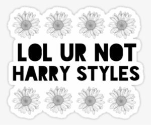 Ur Not Harry Styles Flowers By Ohmermaids - Daisy Flower Drawing
