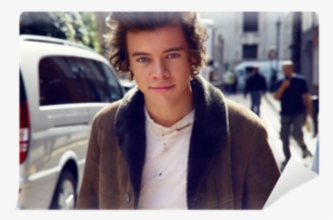 Official One Direction Harry Styles Photo Hard Back