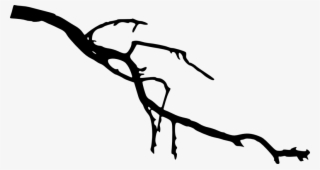 Free Png Tree Branch Silhouette Png Images Transparent - Branch Silhouette