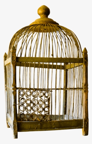 Bird Cage Png - Vintage Cage Png