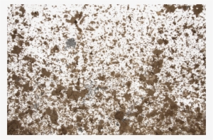 Dirty Decals - Spirea