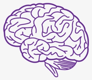 Png Free Library Purple Transparent Brain - Brain