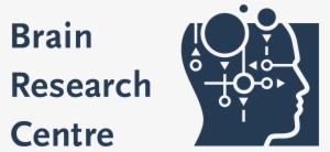 Brain Research Centre Logo Png Transparent - Bryman A And Bell E 2011 Business Research Methods