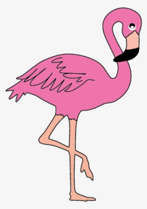 Collection Of High Quality Free - Transparent Background Flamingo Clipart