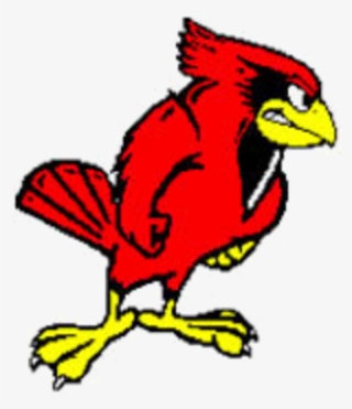 The Hoover Cardinals - Illinois State Redbirds