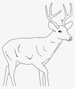 Deer Coloring Pages Coloringsuite - Hunting Drawing