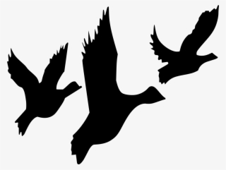 Download Png - Bird Migration Clipart