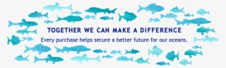 Connect - Shark