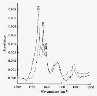 Ftir Spectra Of Poly L Glutamine Solid Line, Dry Sample - L Glutamine Atr Ir Spectra