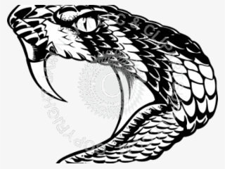 Red Viper Snake head, drawing free image download
