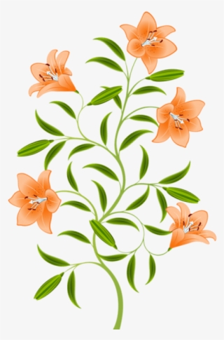 Free Png Download Orange Lily Png Images Background - Tiger Lily Flower Art