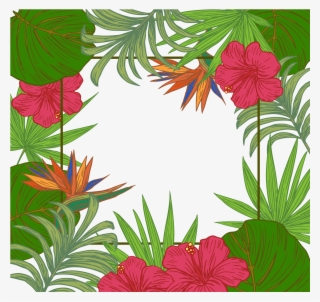 Jungle Clipart Boarder - Hawaiian Leaves Border Png