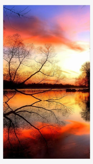 Sunset Trees Sky Clouds Nature Waterreflection Water