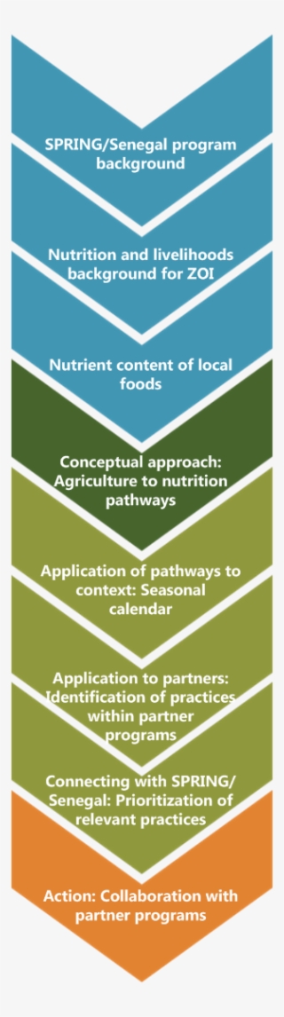 Overview Of Spring/senegal Workshop Process - Agriculture