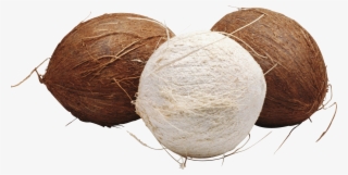 Coconut Icon Clipart - Coconut