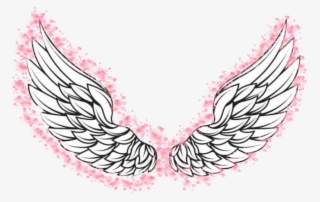 Angelwings Angel Pink Pinkwings Love Heaven Halo Stars