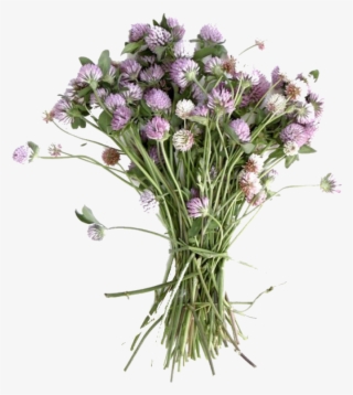 Pngs /like Or Reblog If Used/ - Bouquet
