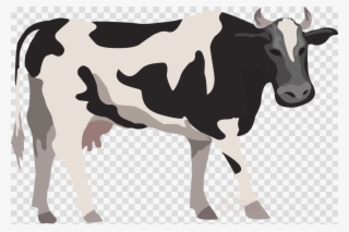 Cow Vector Png Clipart Holstein Friesian Cattle Beef - Cow Vector Png
