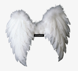 Wings - Baby Angel Wings Png