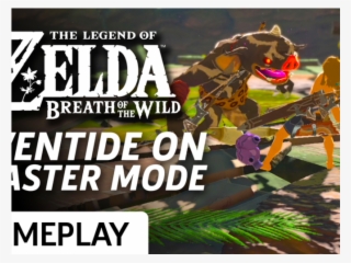 Zelda Breath Of The Wild's Eventide Island On Master