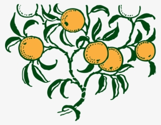 Lemon Tree Clipart 26, Buy Clip Art - Oranges On Tree Shower Curtain