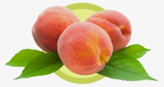 Although Its Botanical Name Prunus Persica Suggests - Biofinest - Peach Fragrance Oil - 100% Fresh &